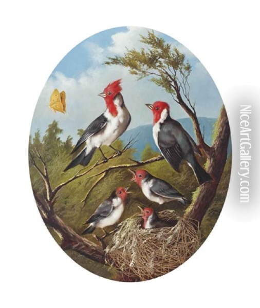 Songbirds Oil Painting - Michelangelo Meucci