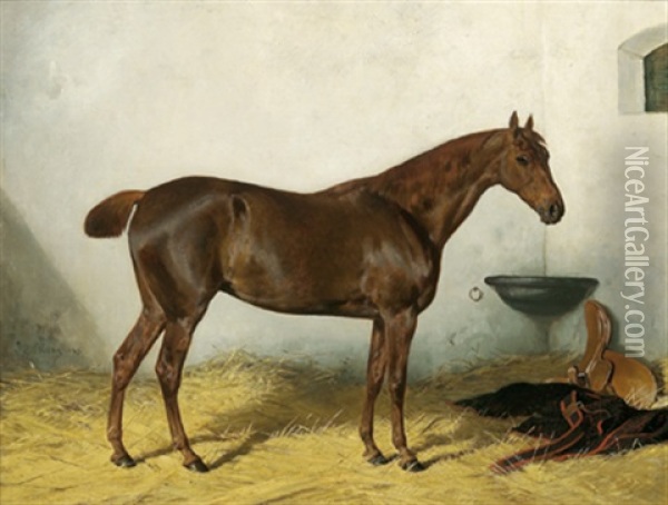 Brauner Im Stall Oil Painting - Julius von Blaas