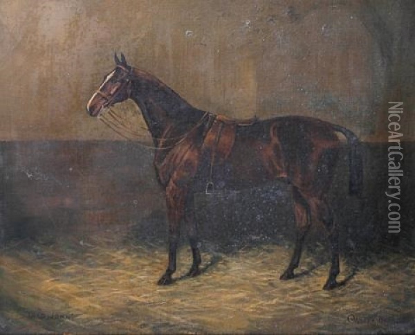 Lord John - Horse In A Loose Box Oil Painting - Cuthbert Bradley