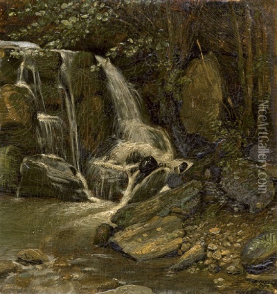 Kleiner Wasserfall Im Schweizertal Bei St. Goarshausen Oil Painting - Johann Georg Meyer von Bremen