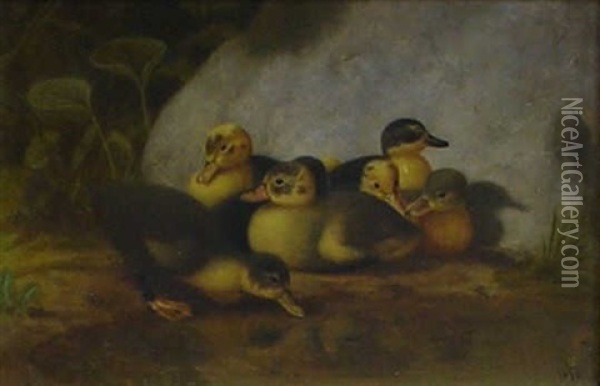 Seven Ducklings Oil Painting - James Long Scudder