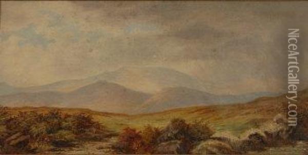 Moorland Landscape Oil Painting - Frederick John Widgery