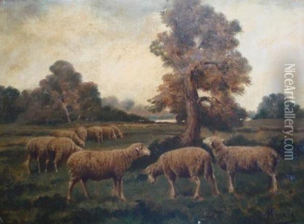 Moutons Oil Painting - Adolphe Charles Marais