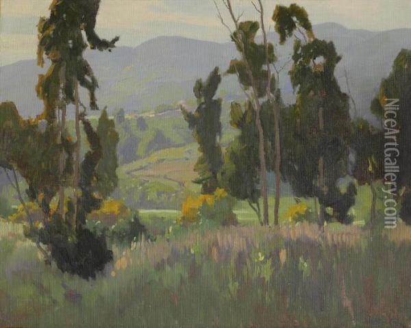 Springtime In The Foothills Oil Painting - Elmer Wachtel