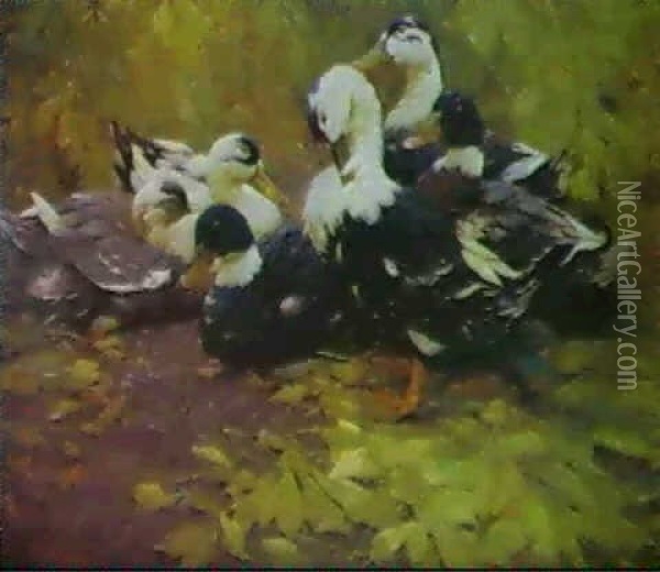 A Group Of Ducks Resting By Trees Oil Painting - Alexander Max Koester