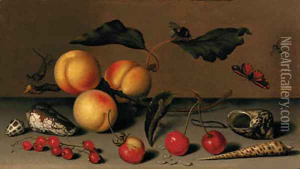 Apricots on a stalk, cherries, a wild strawberry, redcurrants, shells, a butterfly, a bee, a spider, a fly, a caterpillar and a dragonfly on a ledge Oil Painting - Balthasar Van Der Ast
