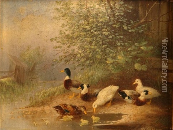 Entenfamilie An Einem Weiher (+ Huhner Unter Baumen Nahe Eines Bauernhofes; 2 Works) Oil Painting - Otto Scheuerer