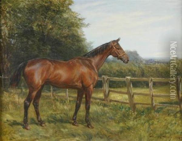 British, 1843- 'whynot' Oil Painting - Heywood Hardy