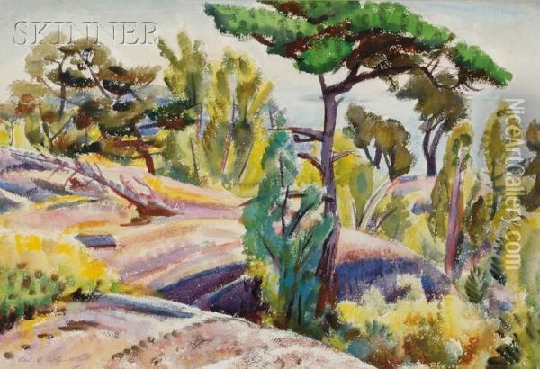 Umbrella Pine Oil Painting - Carl Gordon Cutler