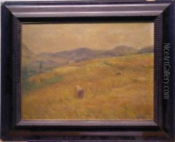 In The Hay Fields Oil Painting - Albert Kappis