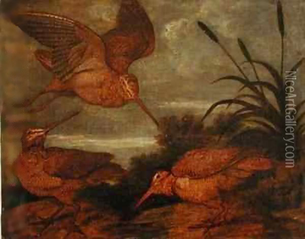 Woodcock at Dusk Oil Painting - Francis Barlow