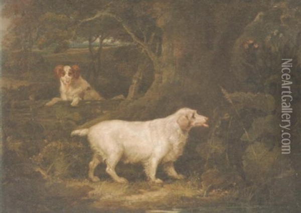 A Clumber Spaniel In A Wood Oil Painting - Richard Jones