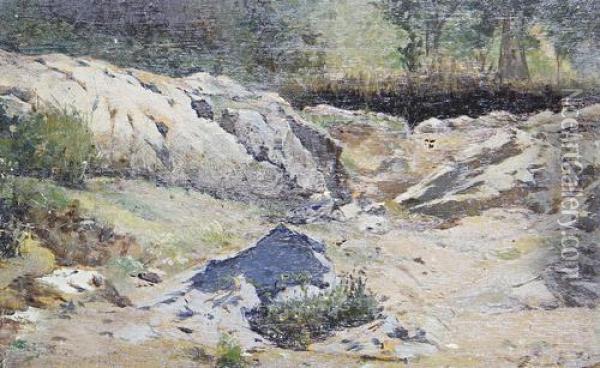 Piccolo Paesaggio Con Roccie Oil Painting - Pio Joris