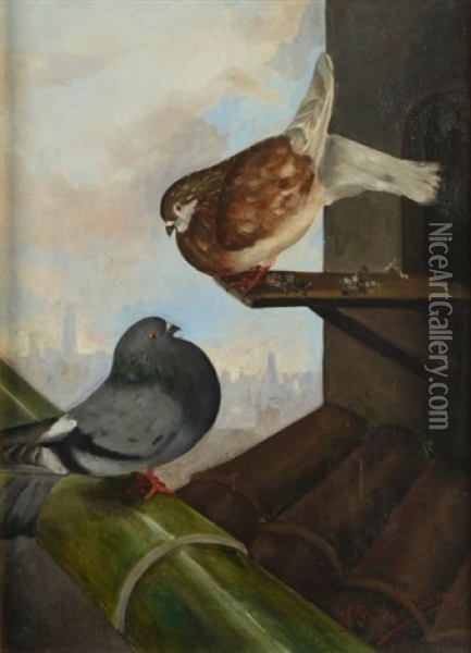 Les Pigeons Oil Painting - Jose Ruiz Blasco