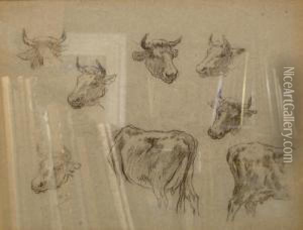 Etudes De Tetes De Vaches Et De Culs De Vaches Oil Painting - Felix Saturnin Brissot de Warville