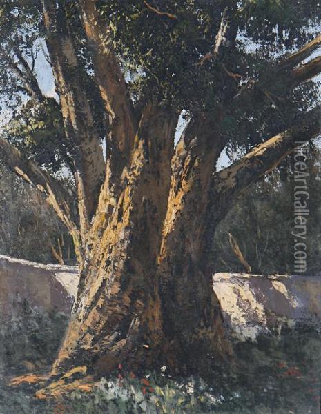 The Old Tree Oil Painting - Tinus De Jong
