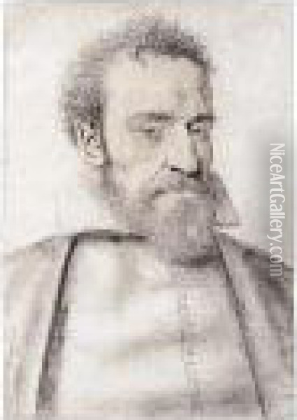 Portrait Of A Bearded Gentleman, Bust-length Oil Painting - Nicolas Lagneau