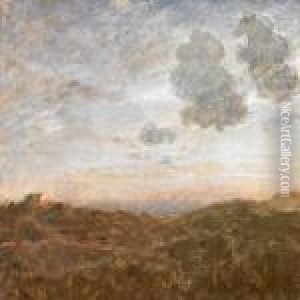 Scenery From The Moor Oil Painting - Julius Paulsen