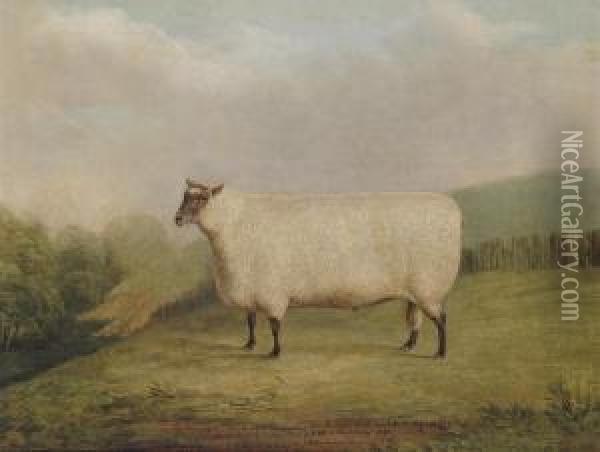A Prize Ram Bred By Mr. William Sainsbury Oil Painting - James Loder Of Bath
