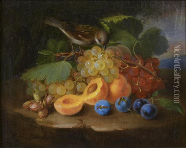 Nature Morte Aux Raisins, Abricots, Quetsches, Noisettes Et Oiseau Oil Painting - George Forster