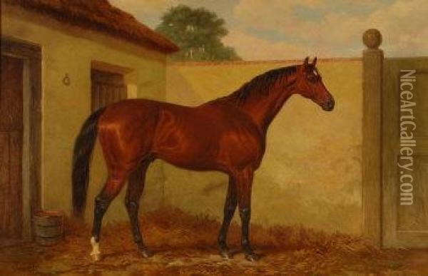 Kingcraft-study Of A Bay Horse Oil Painting - Harry Hall