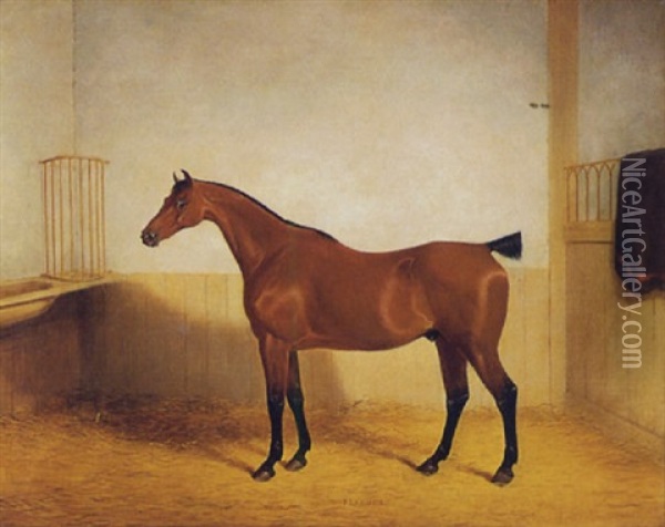 Portrait Of A Chestnut Horse, 