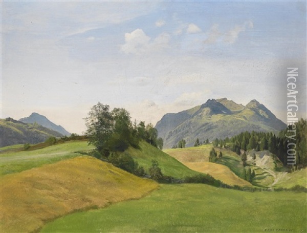 Sommerlandschaft Oil Painting - Hans Frank