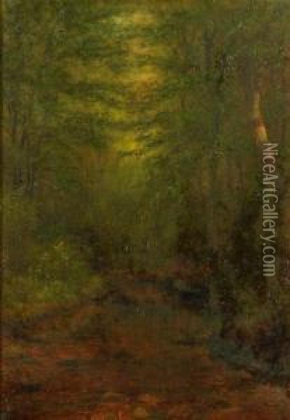 Brook Study North Woodstock, Nh Oil Painting - Charles Franklin Pierce