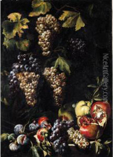 Still Life With Bunches Of Grapes On A Vine, An Open Pomegranate, Apples And Figs Oil Painting - Michelangelo Cerqouzzi