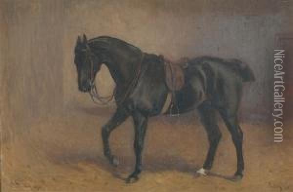 ''sultan' - A Saddled Hunter In A Loose Box' Oil Painting - John Charlton