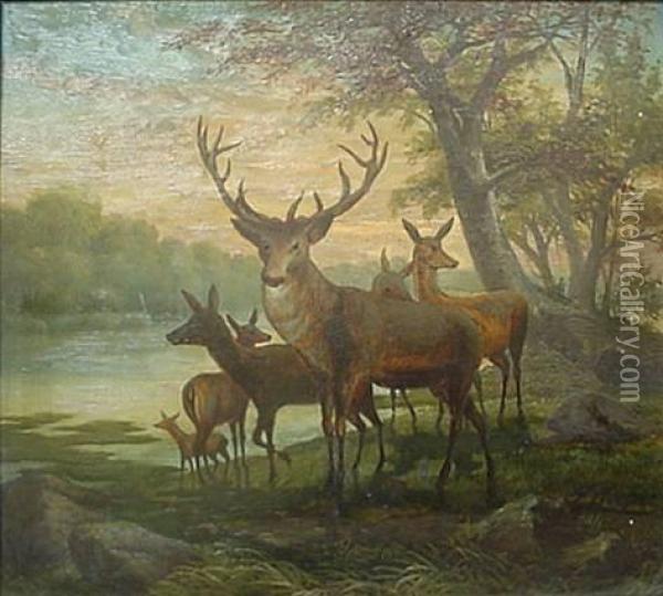 Koehler- Elk In Landscape- Oil On Artistboard, Signedlower Left, 17 X 19'' Oil Painting - Hermann Kohler