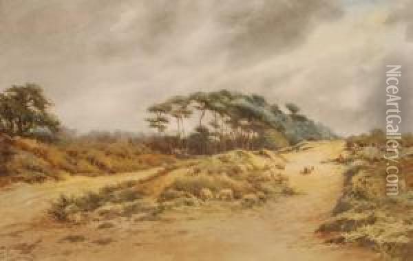 Sheep On Chorleycommon Oil Painting - Norris Fowler Willatt