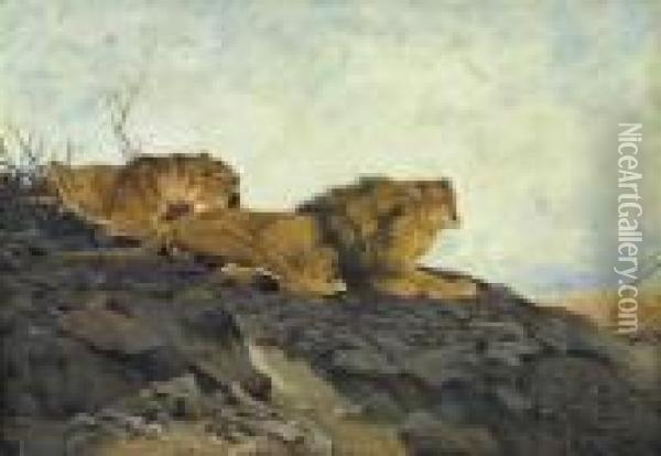 Lion And Lioness In A Rocky Landscape Oil Painting - Wilhelm Kuhnert