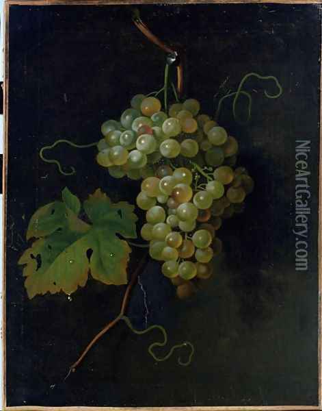 Grapes Oil Painting - Tobias Stranover