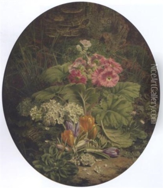Still Life Of Crocuses, And Other Flowers On A Mossy Bank Oil Painting - Thomas Worsey