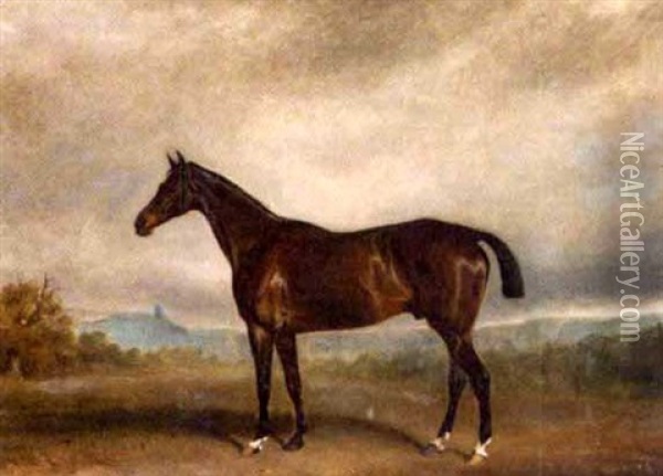 Bay Horse In A Landscape Oil Painting - Claude Lorraine Ferneley