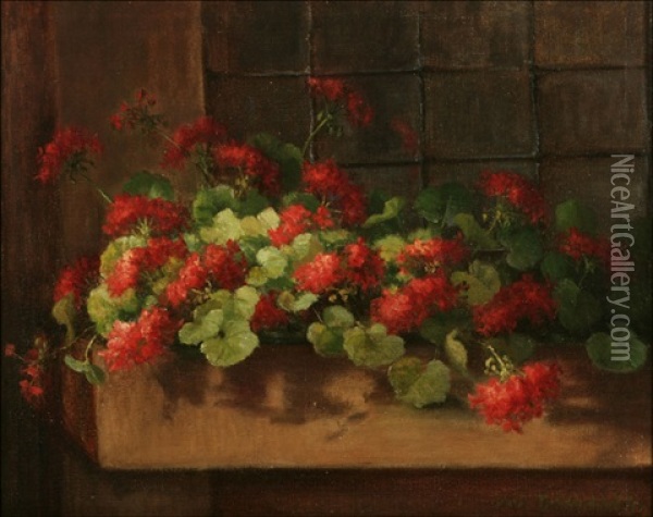 Red Geraniums In A Window Box Oil Painting - Sarah Bender de Wolfe