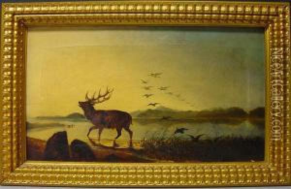 Hirsch An Einem See Oil Painting - William Widgery