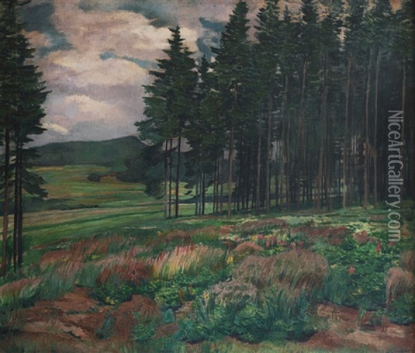 Meadow Oil Painting - Antonin Hudecek