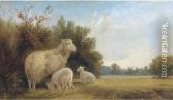Ewe And Lambs In A Landscape, With Cattle Beyond Oil Painting - Walter Henry Pigott