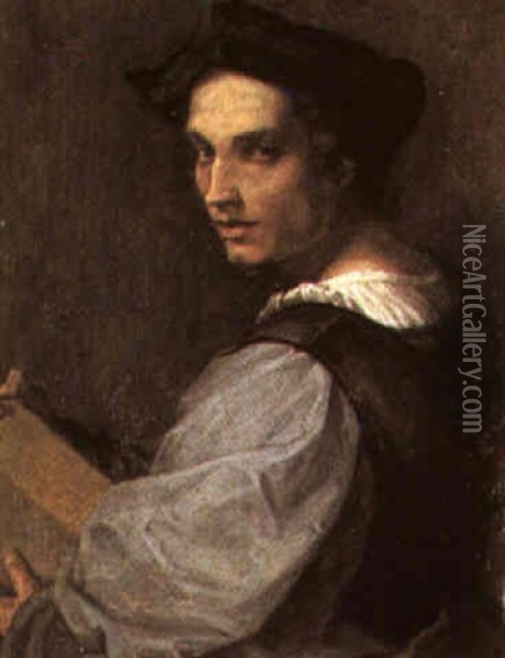 Portrait Of A Man Oil Painting - Andrea Del Sarto