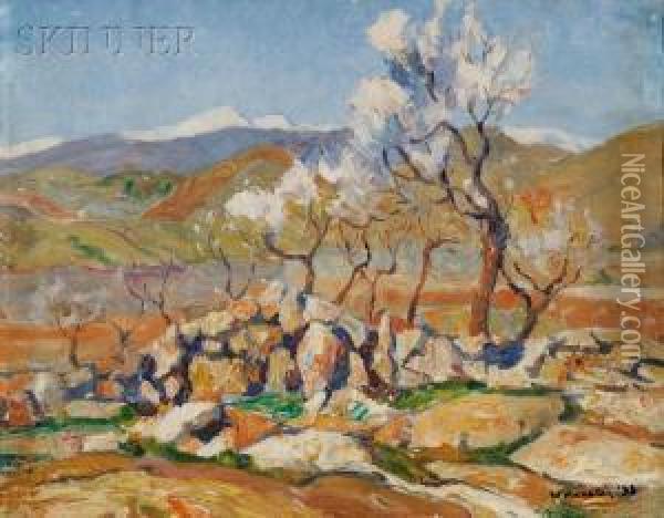 Almond Trees Oil Painting - Albert Worcester
