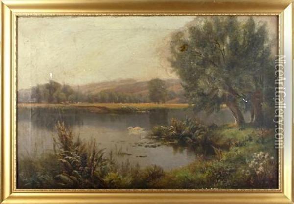 Landscape With Swan On A Lake Oil Painting - Edward John Duval