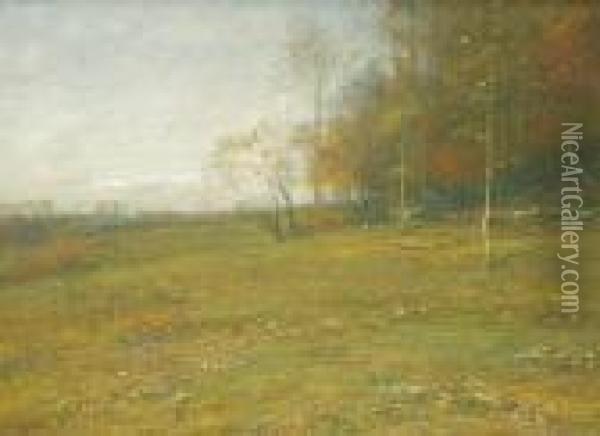 ''autumn Meadow'' Oil Painting - John Francis Murphy