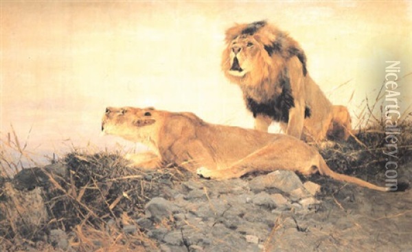 Lion And Lioness On A Rocky Outcrop Oil Painting - Wilhelm Friedrich Kuhnert