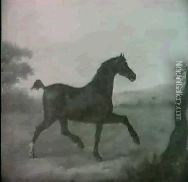 Minerva, The Wonderful Trotting Horse In A Landscape Oil Painting - John Nost Sartorius