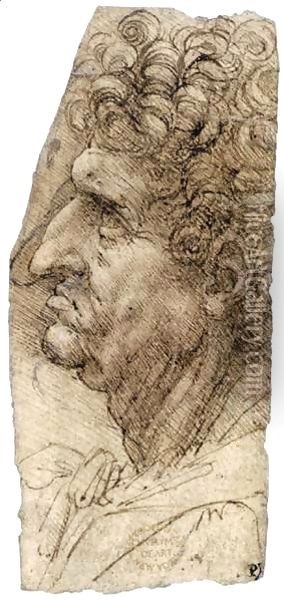 Head of a Man Facing to the Left Oil Painting - Leonardo Da Vinci