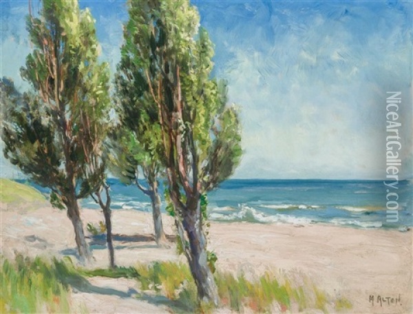 Landscape At The Beach Oil Painting - Mathias Joseph Alten
