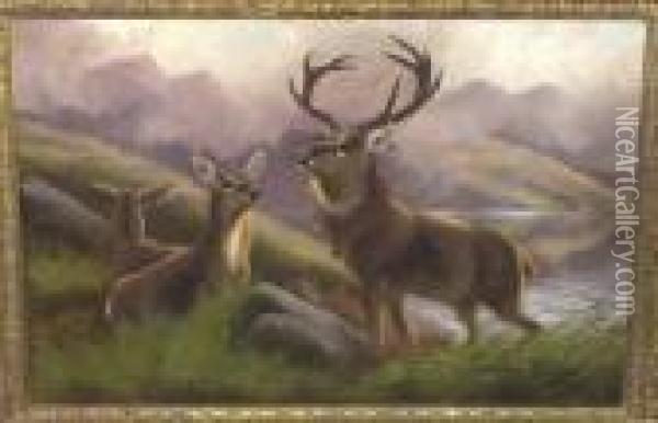 Stag And Other Deer Beside A Loch In A Highland Landscape Signed Oil Painting - Robert Cleminson