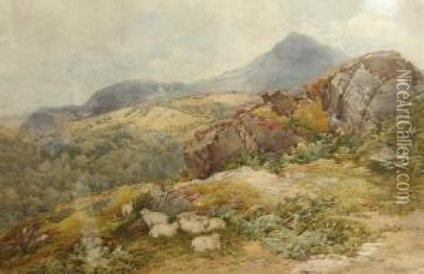 Moel Siabot.n.w. Oil Painting - George Hodgson
